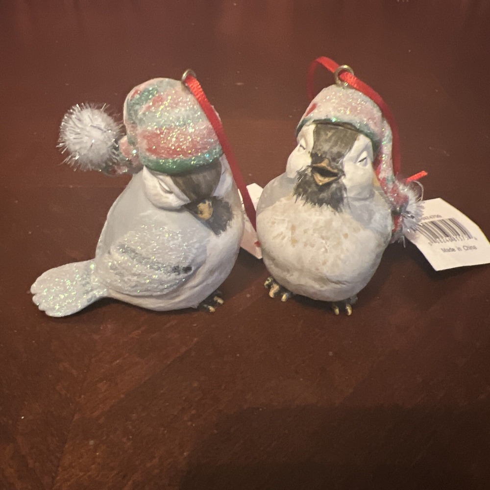 Winter Bird Ornaments Cozy Hats Glittery Festive Holiday Decor‎ Set of 2